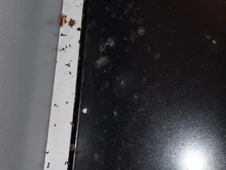 Putnam Green Apartments