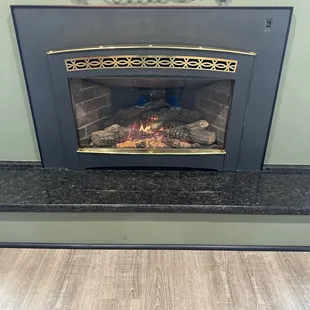 Gas Fireplace Insert