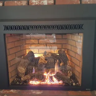 Beautiful Gas Insert