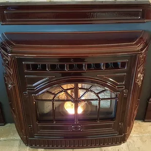 Pellet Burning Insert great looking FP