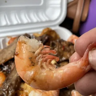 Poopy shrimp