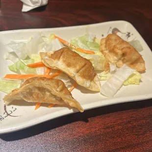 Fried Dumplings