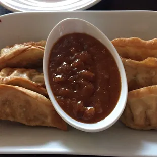 Pot Stickers
