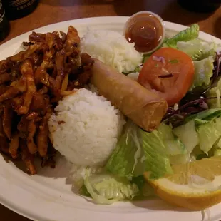 Spicy chicken, vegetable spring roll with rice &amp; salad. Delicious