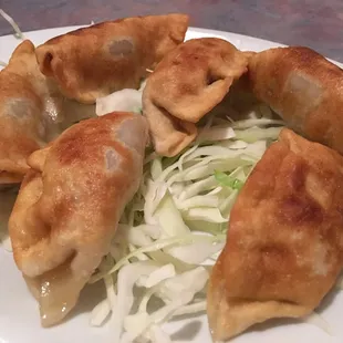 Pan fried dumplings