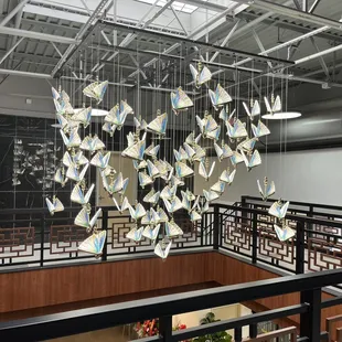 Beautiful Butterflies