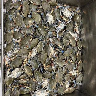 Love soft shell blue crabs
