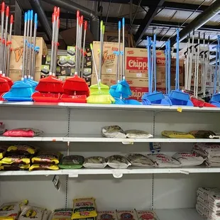 a variety of brooms on shelves