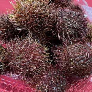 Rambutan