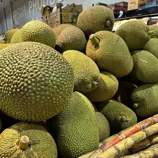 Jackfruit  4/2024