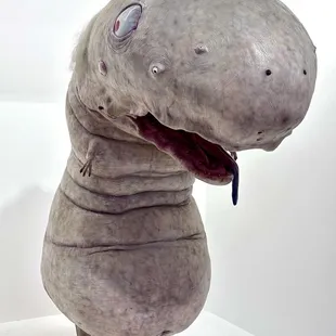 Oval. One of the F.R.I.E.N.D.s based on the 2013 film "Jellyfish Eyes". Fiberglass reinforced plastic