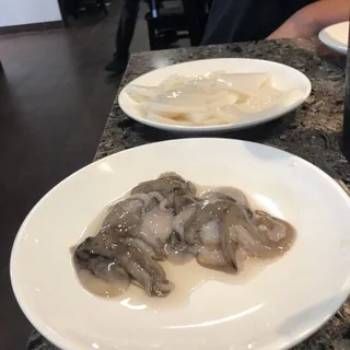 Squid