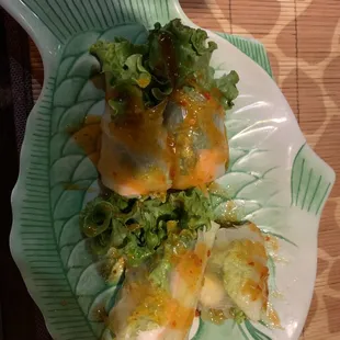 Vietnamese Spring Roll, big size, odd wrapping.  Just OK
