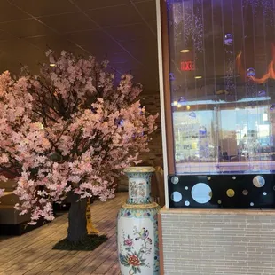 02/25/2025:  Interior Design is EXQUISITE.