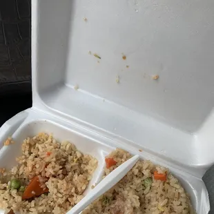 Maggot on lid