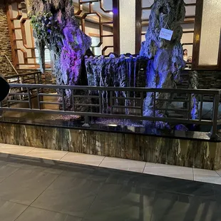 a man standing in front of a waterfall