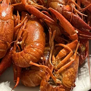 Crawfish