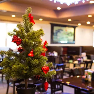 a small christmas tree in a pot
