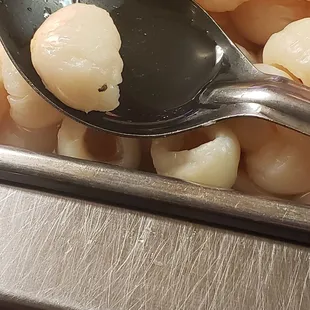 There were nats all over the veggies for salads and even in the fruit. I wont be coming back