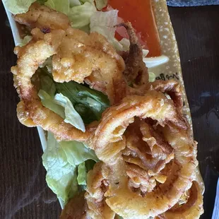 Fried Calamari
