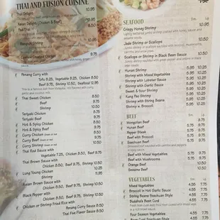 a hand holding a menu