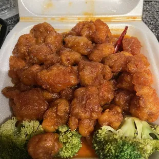 4/5 stars General Tsos Chicken