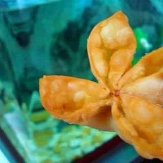 6. Cream Cheese Wontons