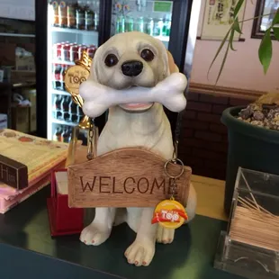 Cute dog on the front desk.