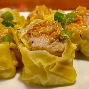 Thai Dumpling