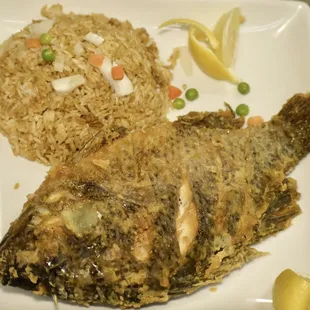 Fried tilapia (whole fish )