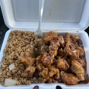 Lunch special orange chicken