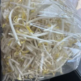 Fresh Bean Sprouts