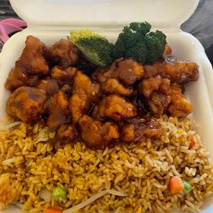 General Tso's Chicken Lunch Special
