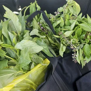Thai basil $2 for a huge bunch