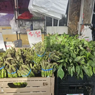 Asparagus and Thai basil