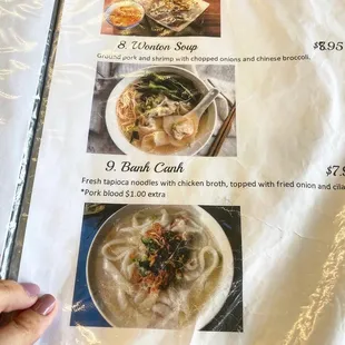 a hand holding a menu