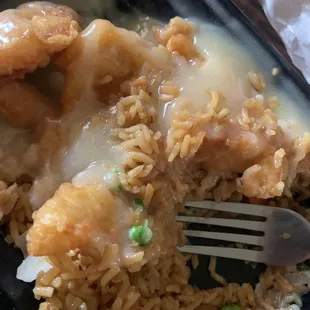 Coconut chicken and fried rice