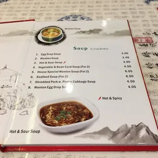 Very nice menu presentation!