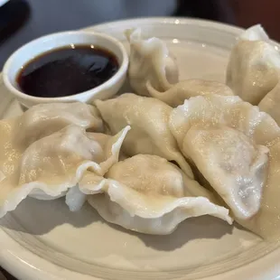 Steamed Dumplings