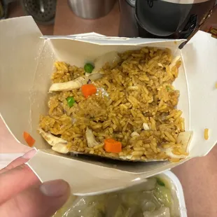 Chicken fried rice