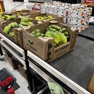 boxes of bananas on a conveyor belt