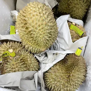 a variety of durian fruits