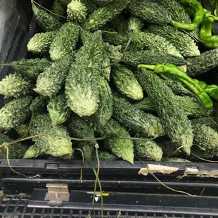 Veggie