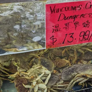 Crab