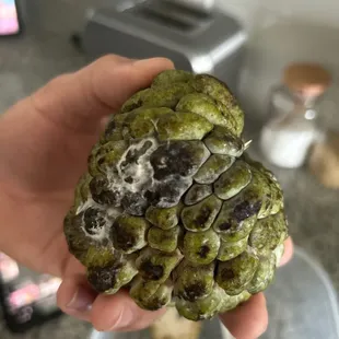 Mold
