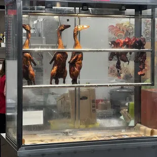 Fresh Duck...&quot;they&apos;re smiling at me...&quot;