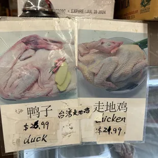 a chicken and an apple on display