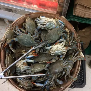 a basket of blue crabs