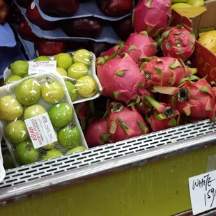 whoaaa - actual guava and dragonfruit! I've never seen these in person before :o