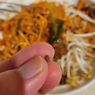 a hand holding a tiny piece of food